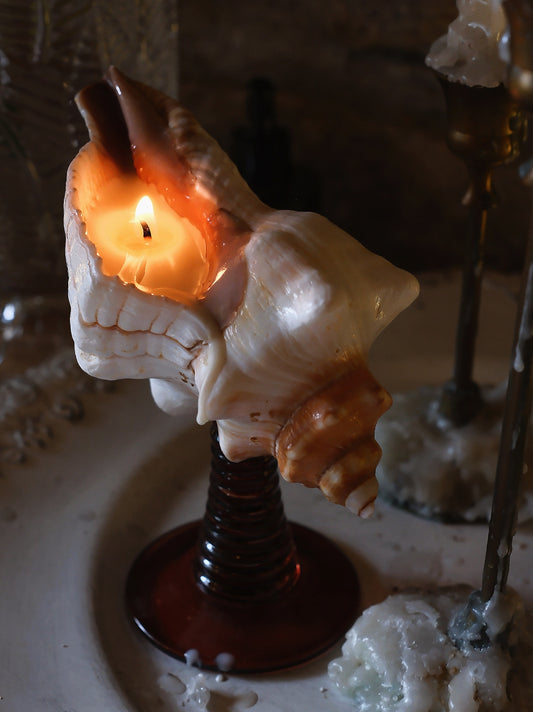 IN Chaos Handcrafted Masterpiece Shell Candle Reusable Lifestyle