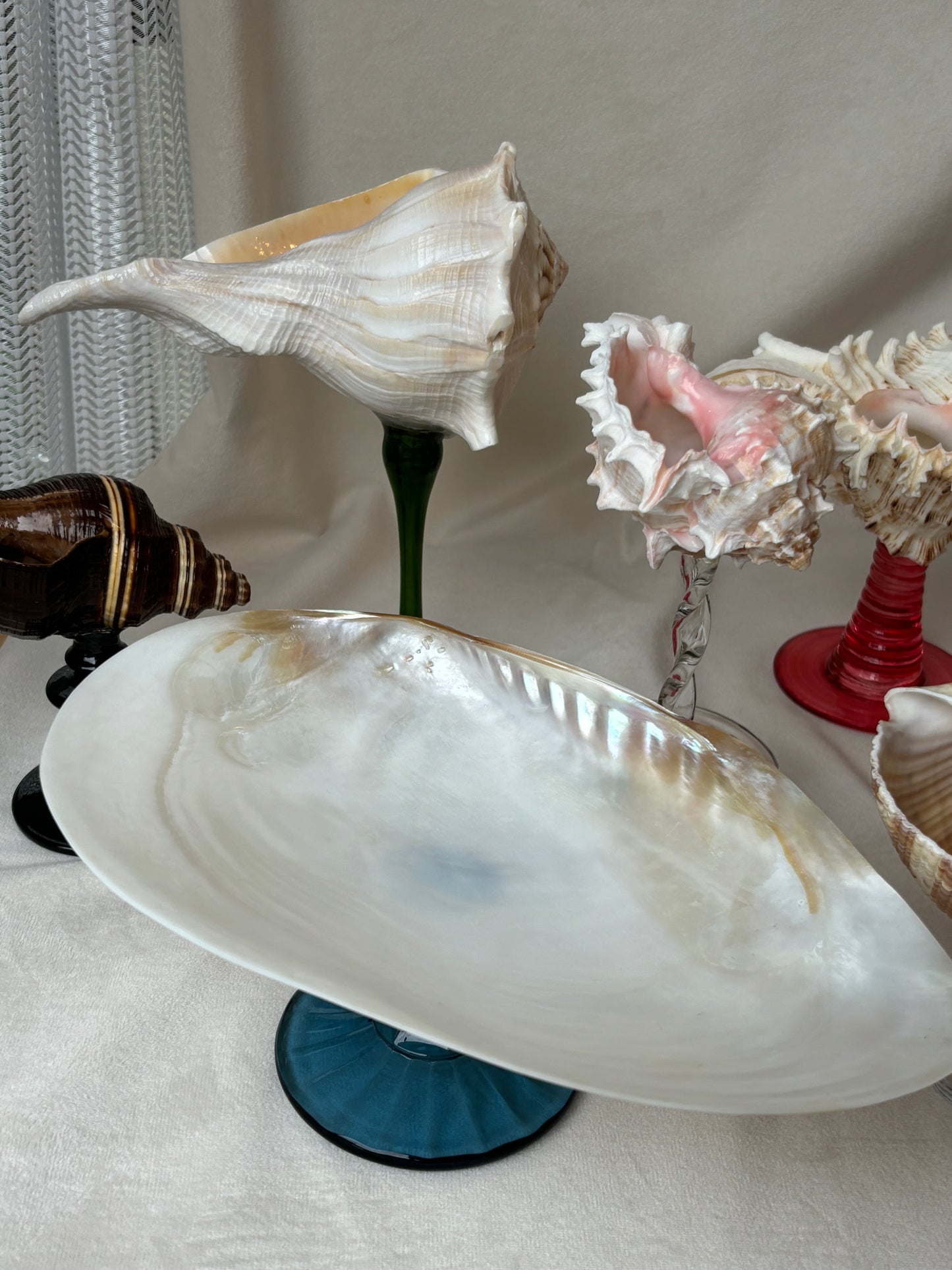 IN Chaos Handmade Shell Dish Tray Decorate Natural Shell Plate