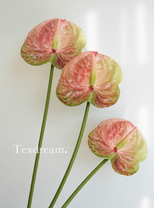 TEXDREAM Fresh Touch Tulip Forever Flower Artificial Anthurium