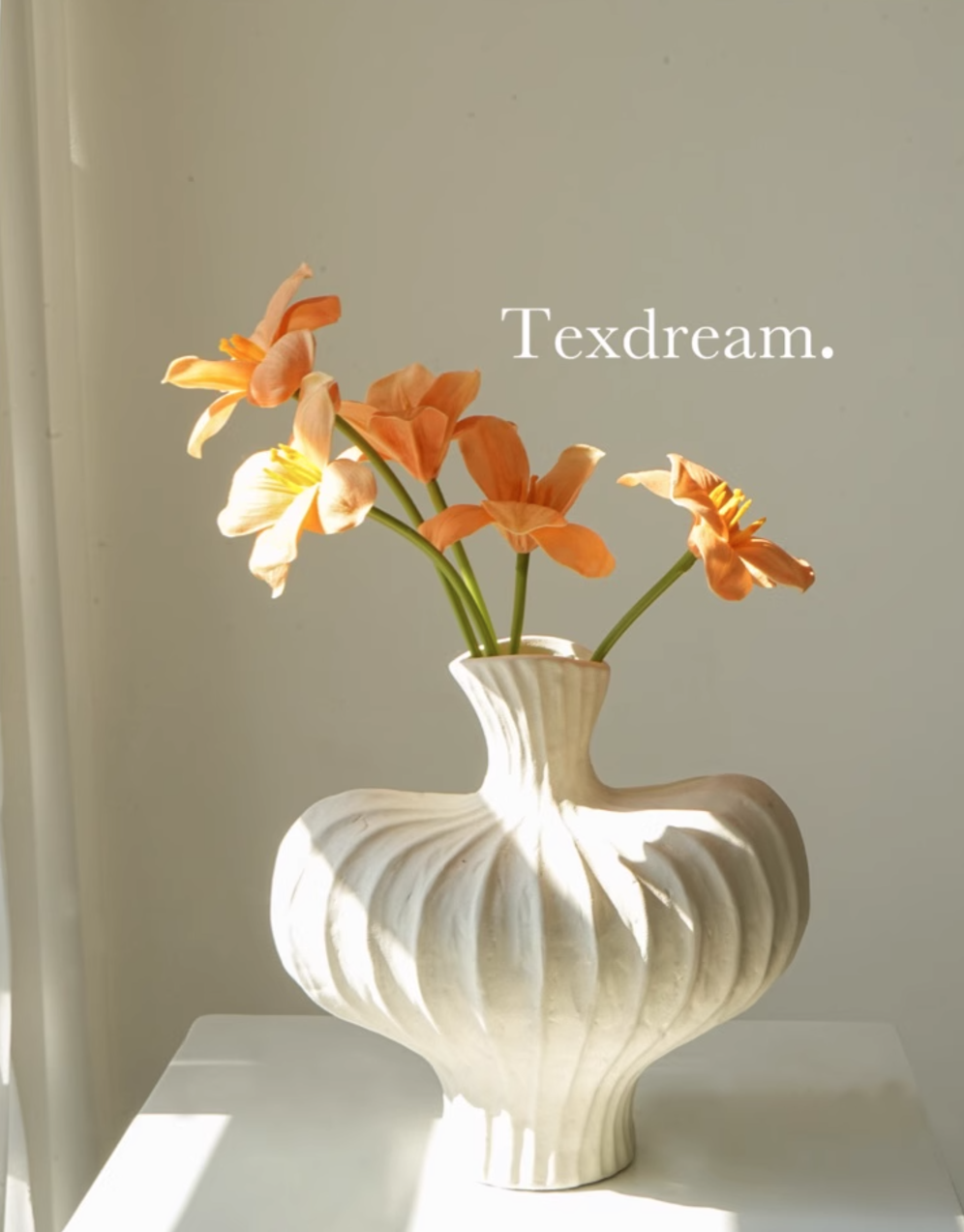 TEXDREAM Designer Deco Matt Black White Ceramic Vases