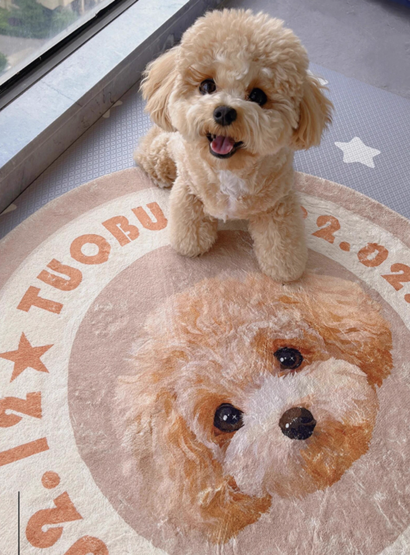 Pet Love Underfoot Custom Designs OOAK Pets Rug